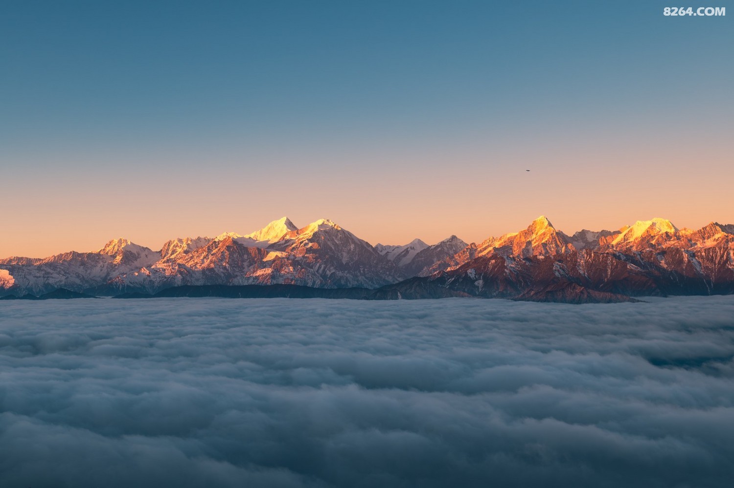 PANA6577 ����.jpg