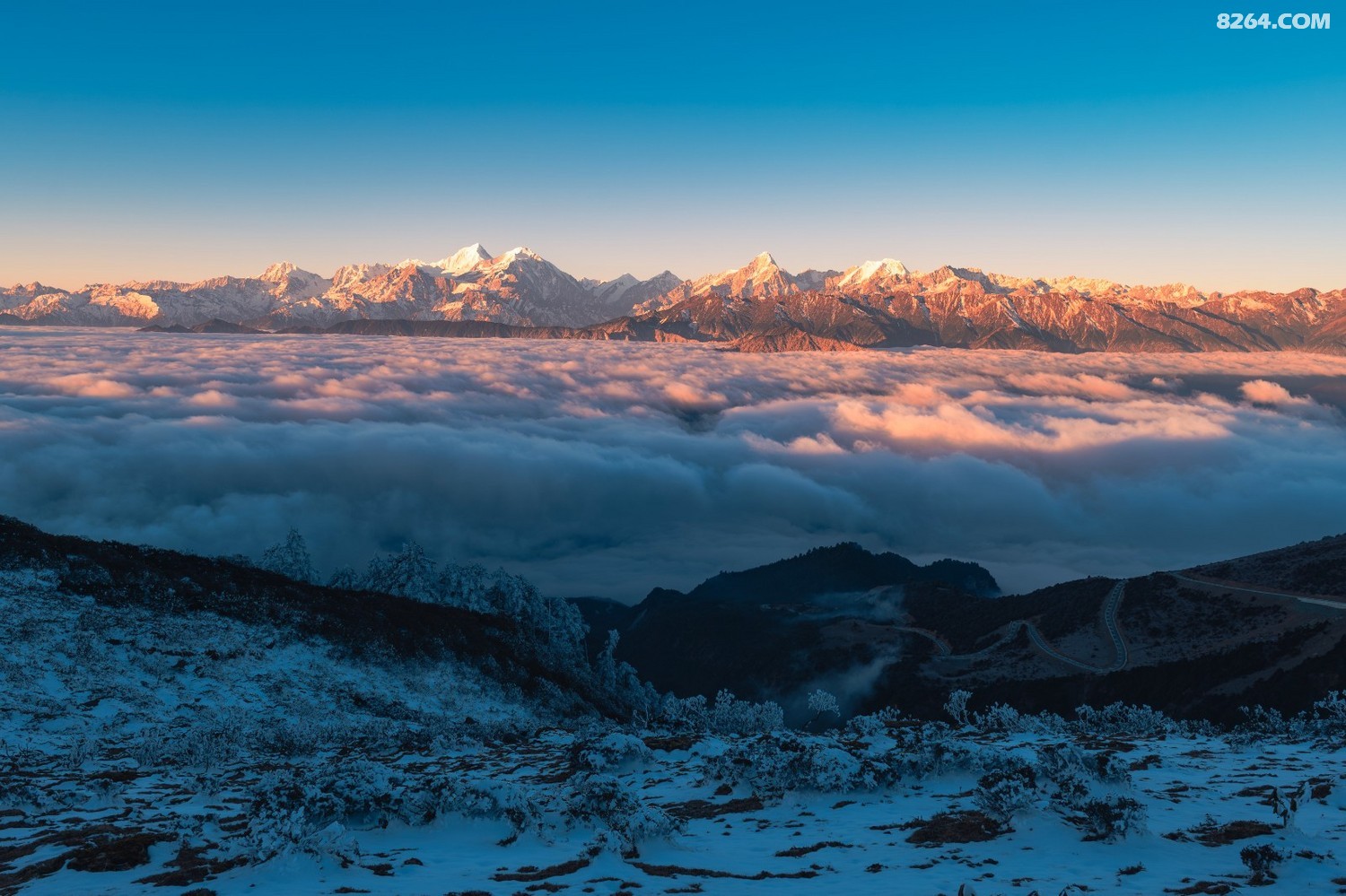 PANA6632 ����.jpg