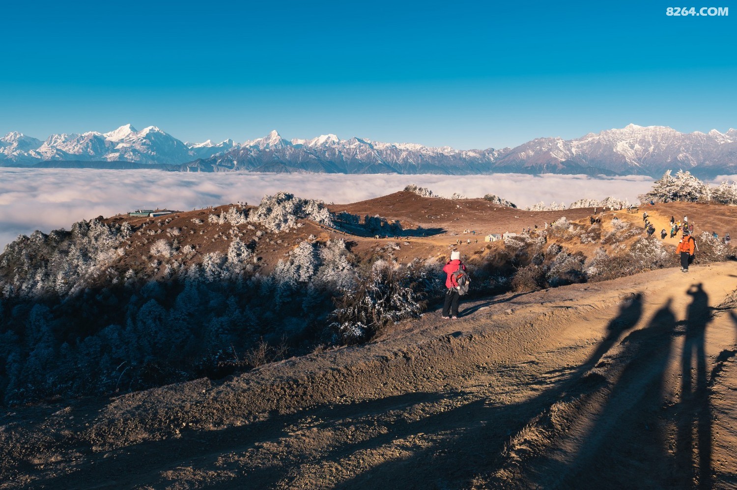 PANA6643 ����.jpg