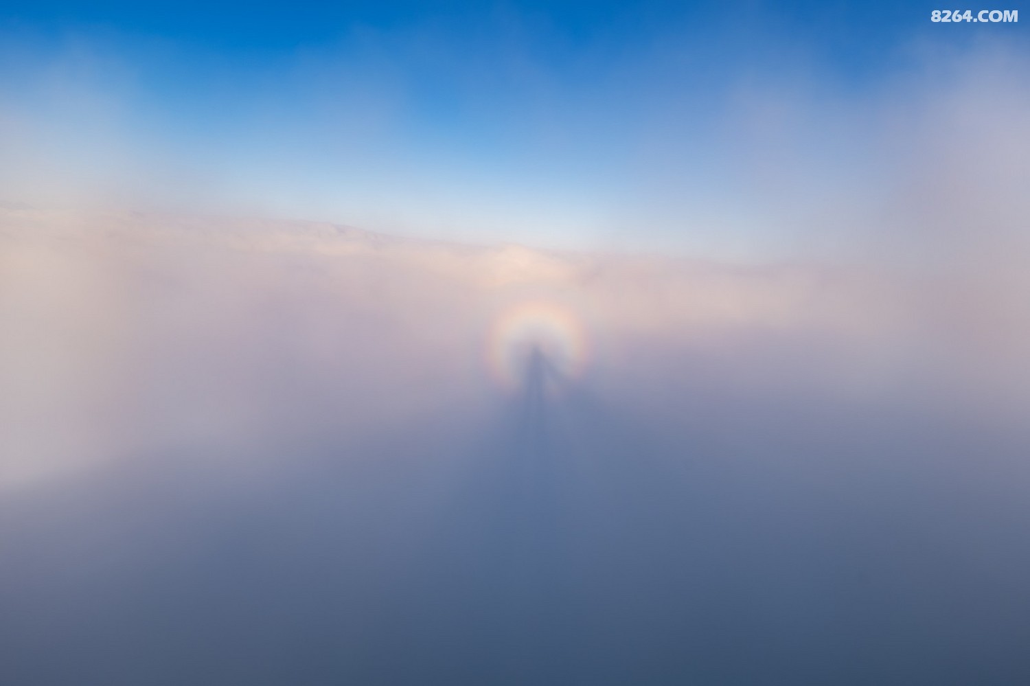 PANA6162 ����.jpg