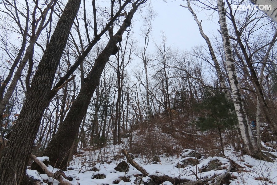 IMG_8447.jpg