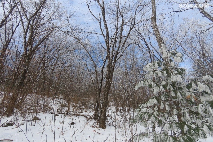 IMG_8488.jpg