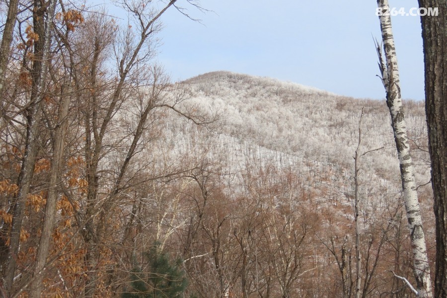 IMG_8464.jpg