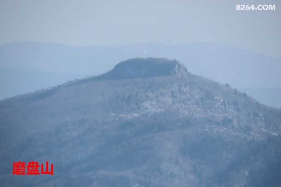IMG_8535.jpg