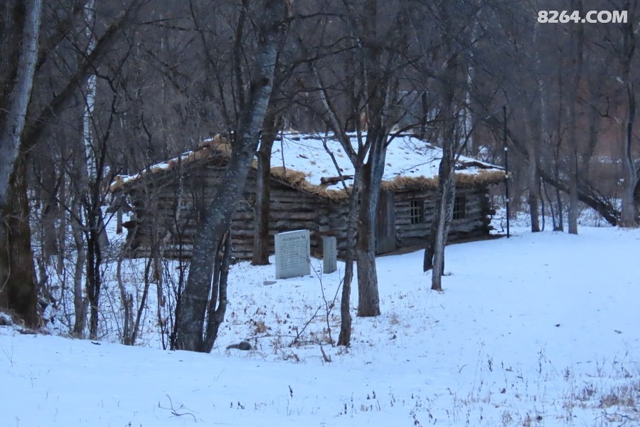 IMG_8698.jpg