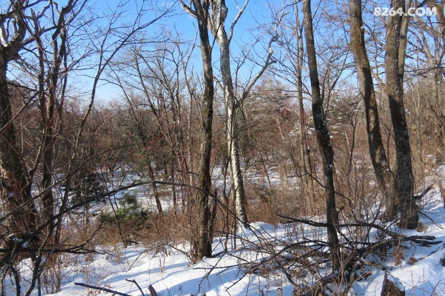IMG_8552.jpg