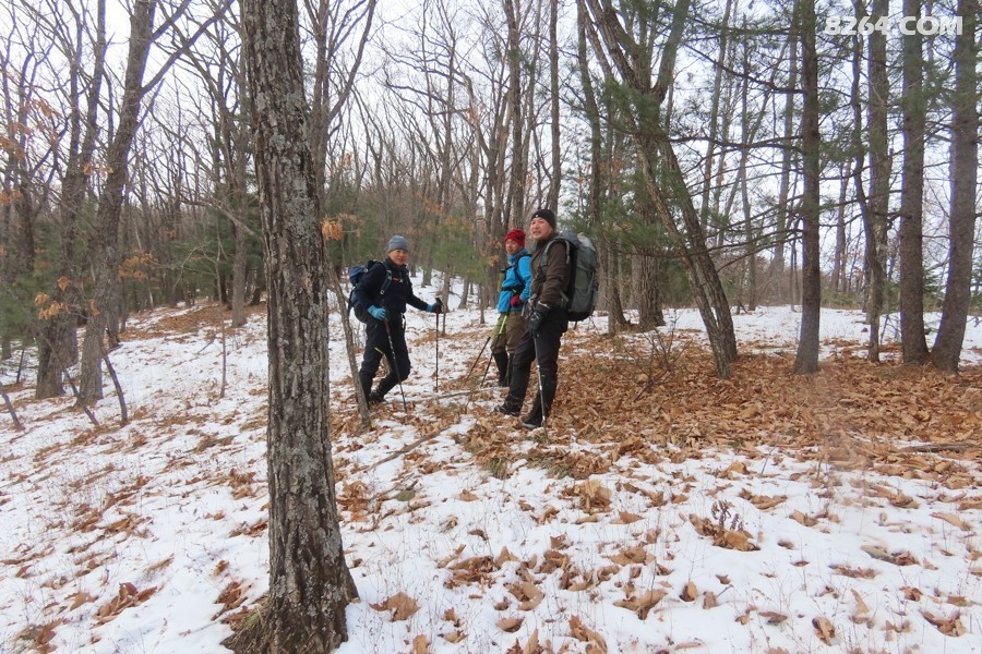 IMG_8611.jpg