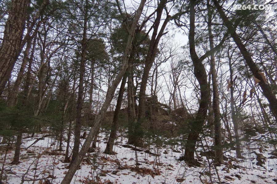 IMG_8616.jpg