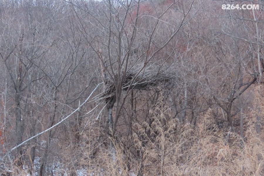 IMG_8637.jpg