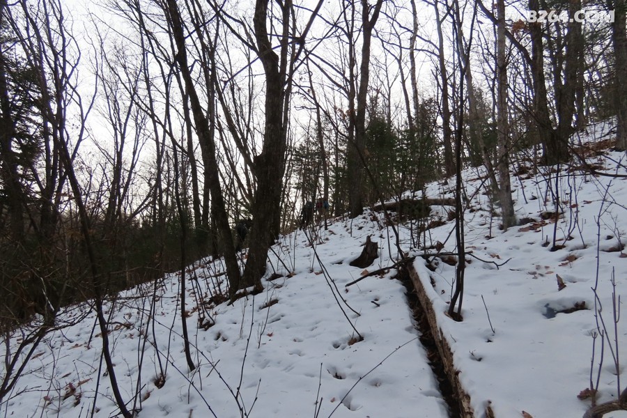 IMG_8609.jpg