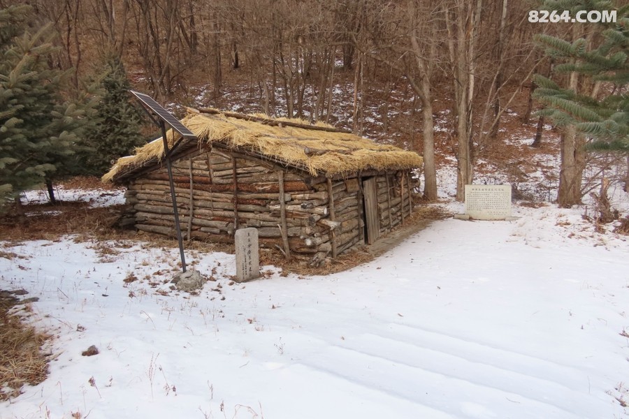 IMG_8648.jpg