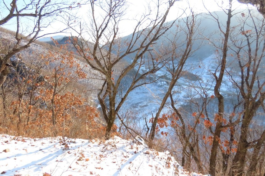 IMG_8721.jpg