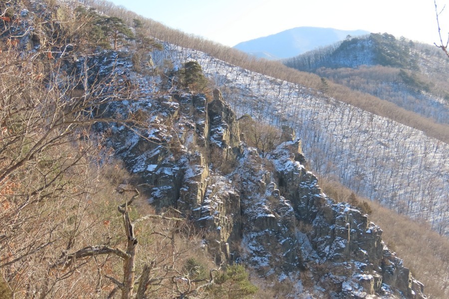 IMG_8725.jpg