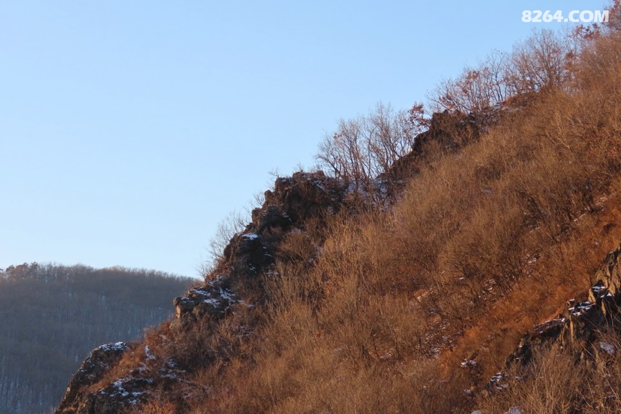 IMG_8859.jpg