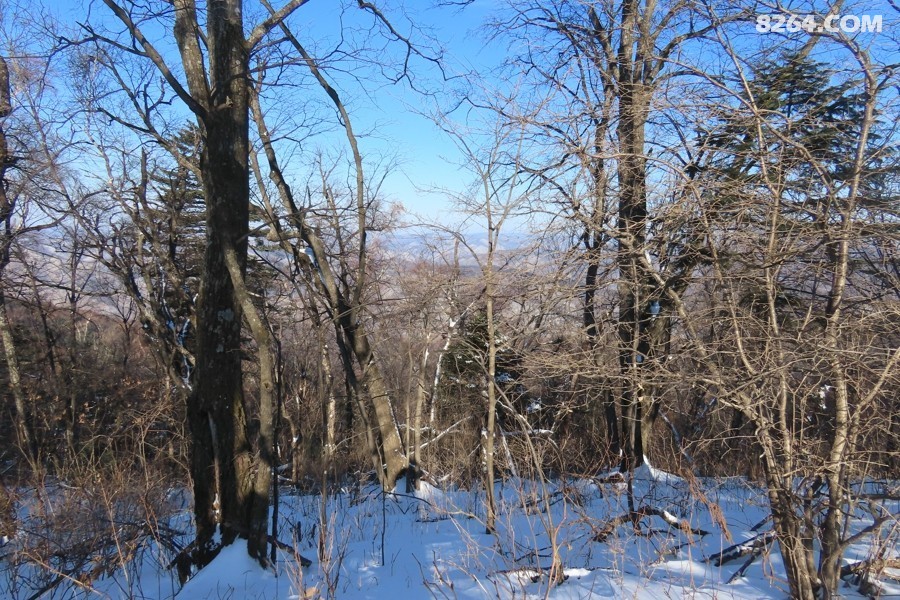 IMG_8764.jpg