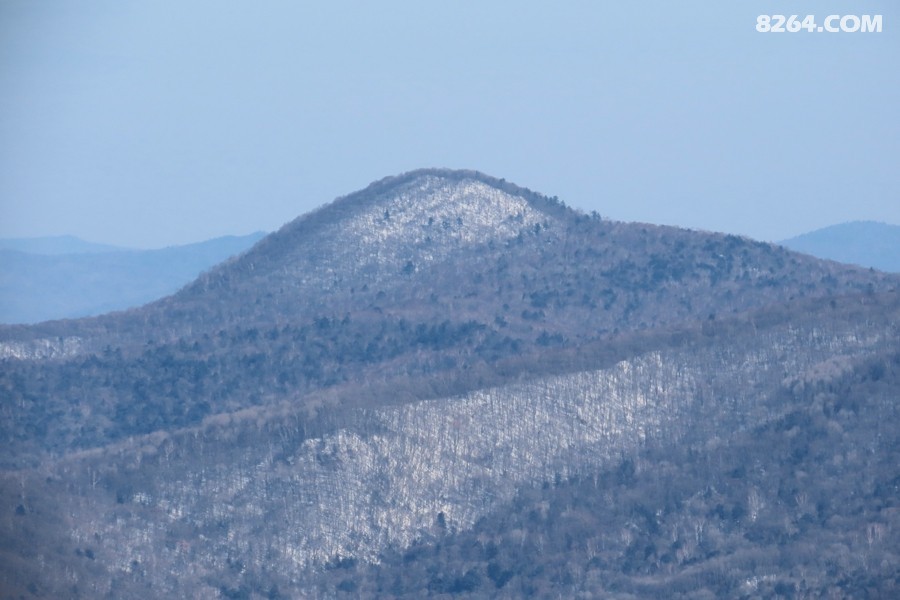 IMG_8768.jpg