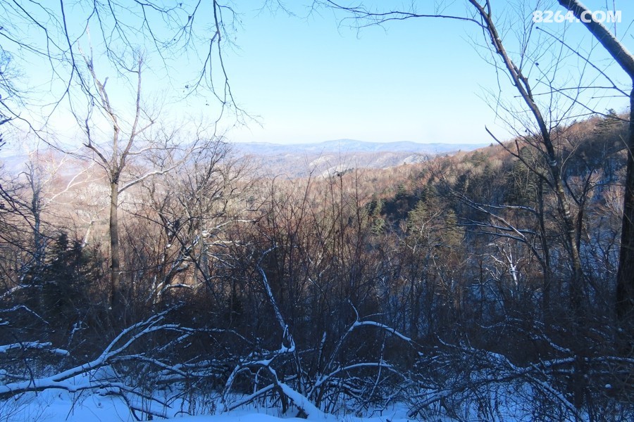 IMG_8786.jpg