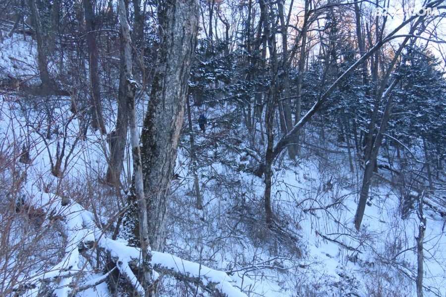 IMG_8798.jpg