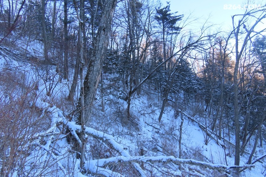 IMG_8802.jpg