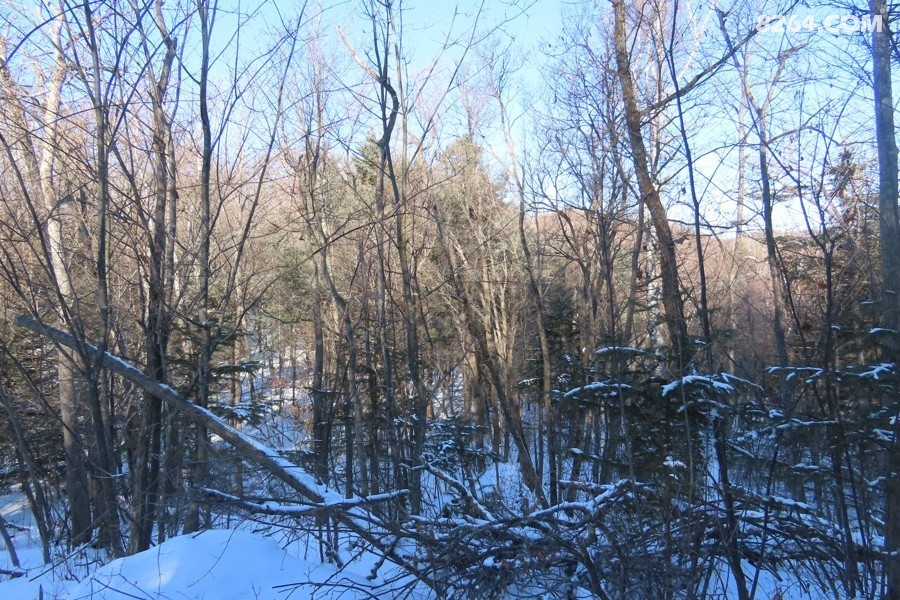IMG_8812.jpg