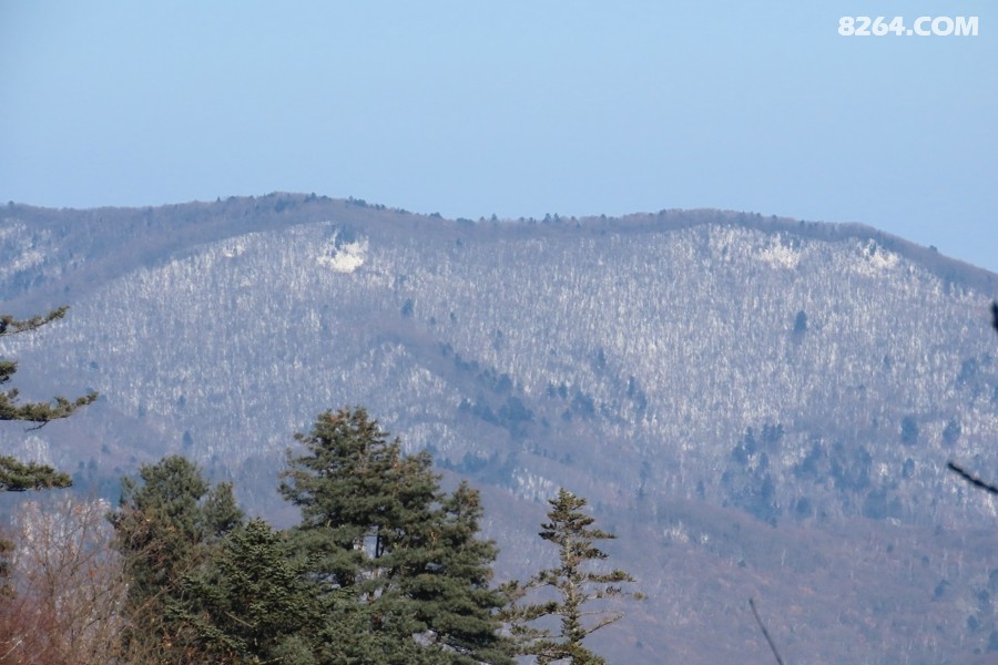 IMG_8799.jpg