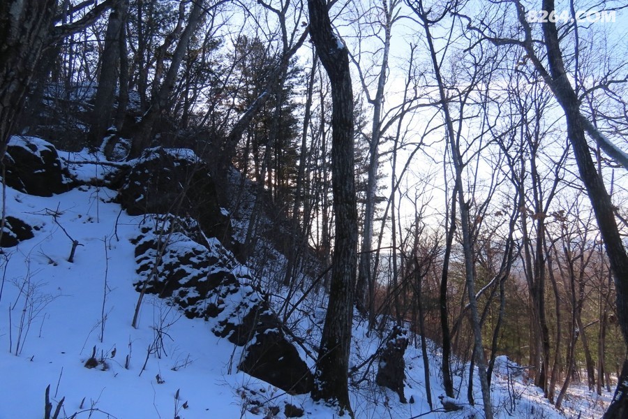 IMG_8827.jpg