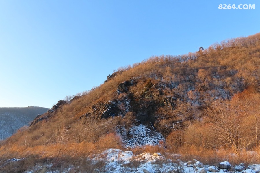 IMG_8856.jpg