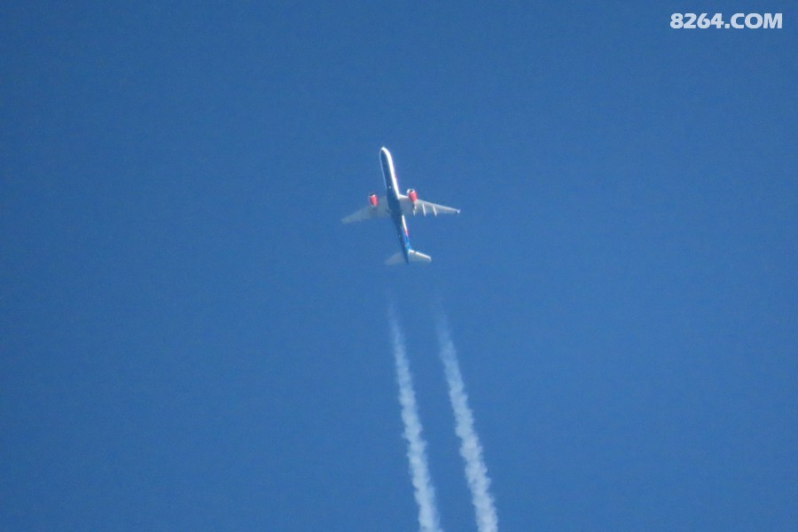 IMG_8842.jpg