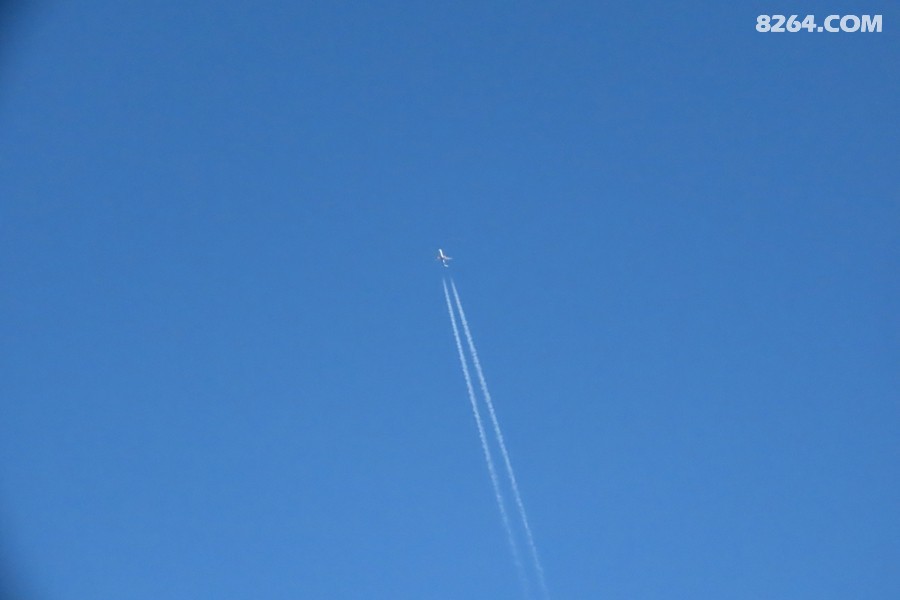 IMG_8838.jpg