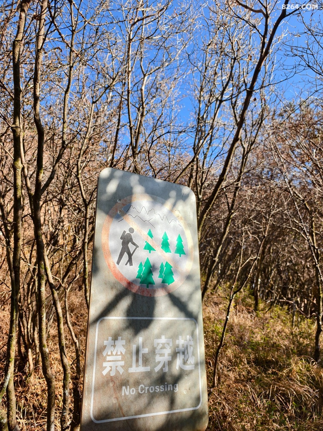 IMG_20251231_093359.jpg