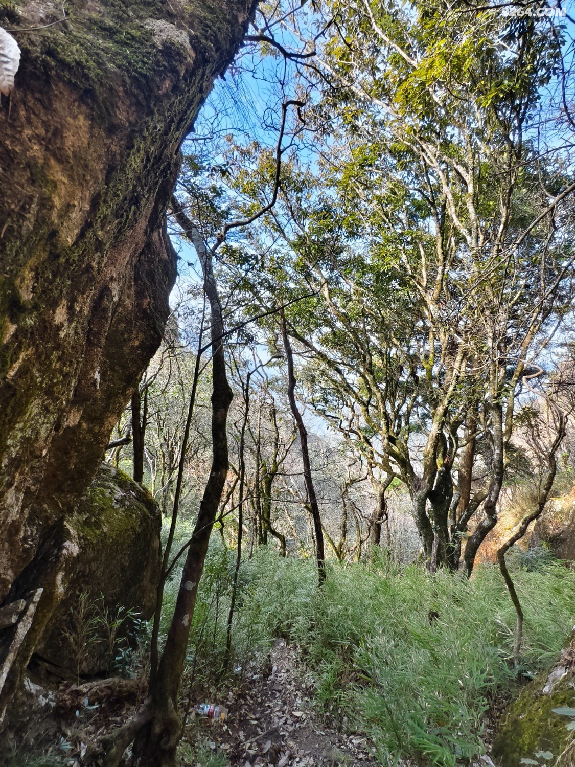 IMG_20251231_101830.jpg