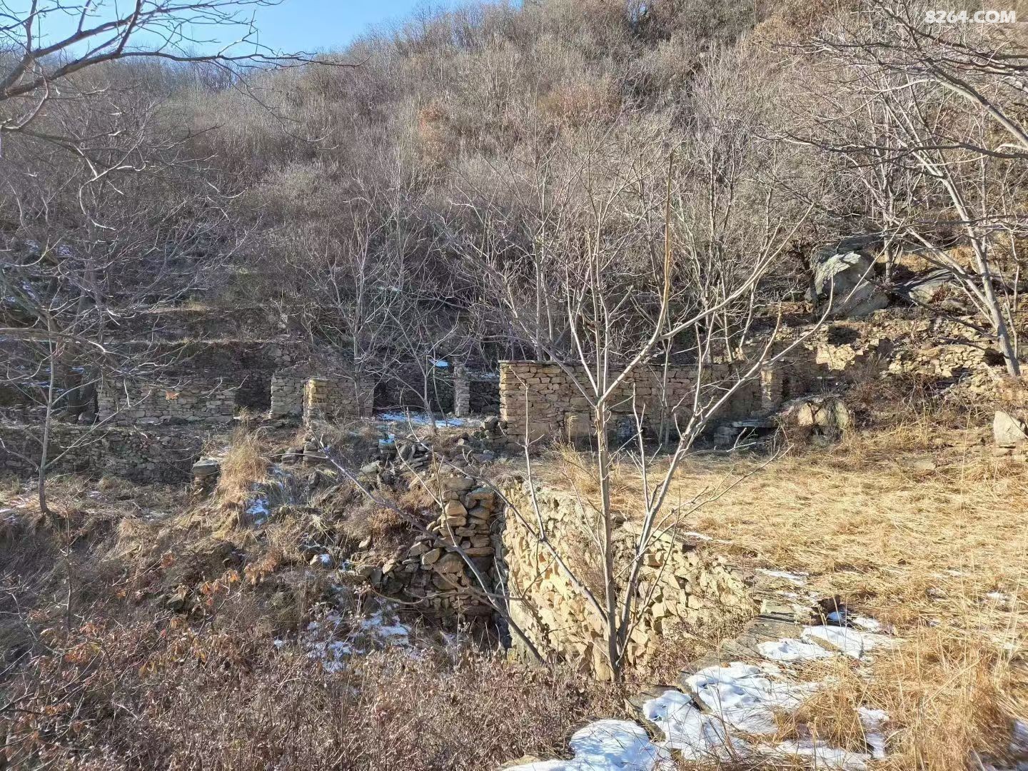 2026-01-02 ��ʤ�����ϴ��ϴ�.jpg