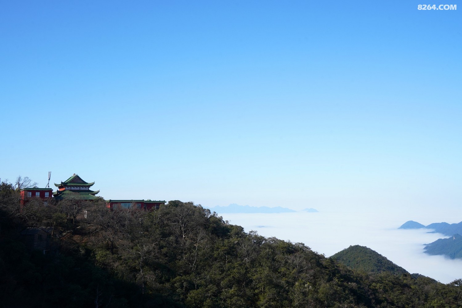 DSC05999_����.jpg