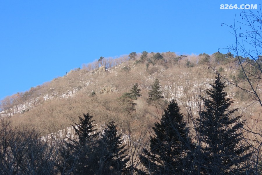 IMG_9146.jpg