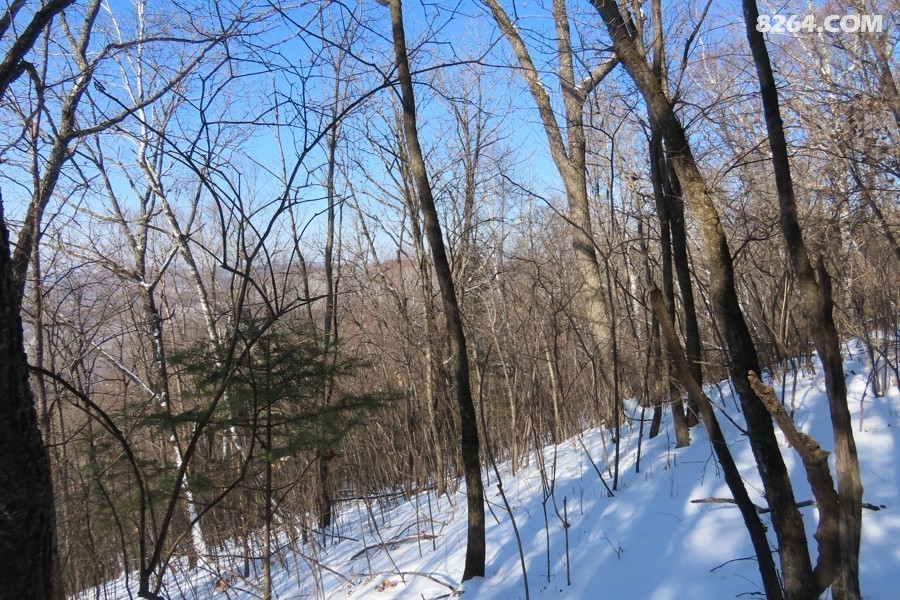 IMG_9078.jpg