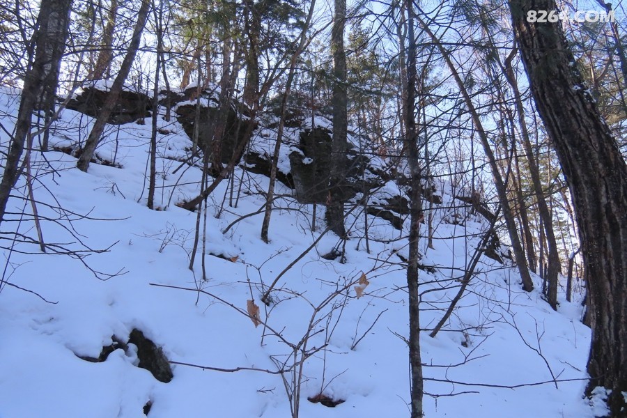IMG_9131.jpg