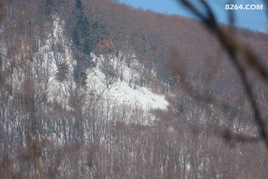 IMG_9132.jpg