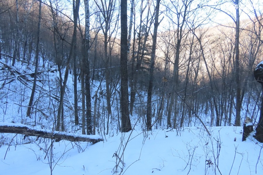 IMG_9140.jpg