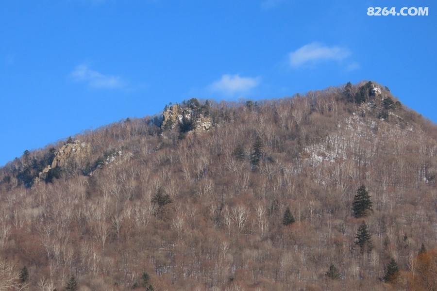 IMG_9155.jpg