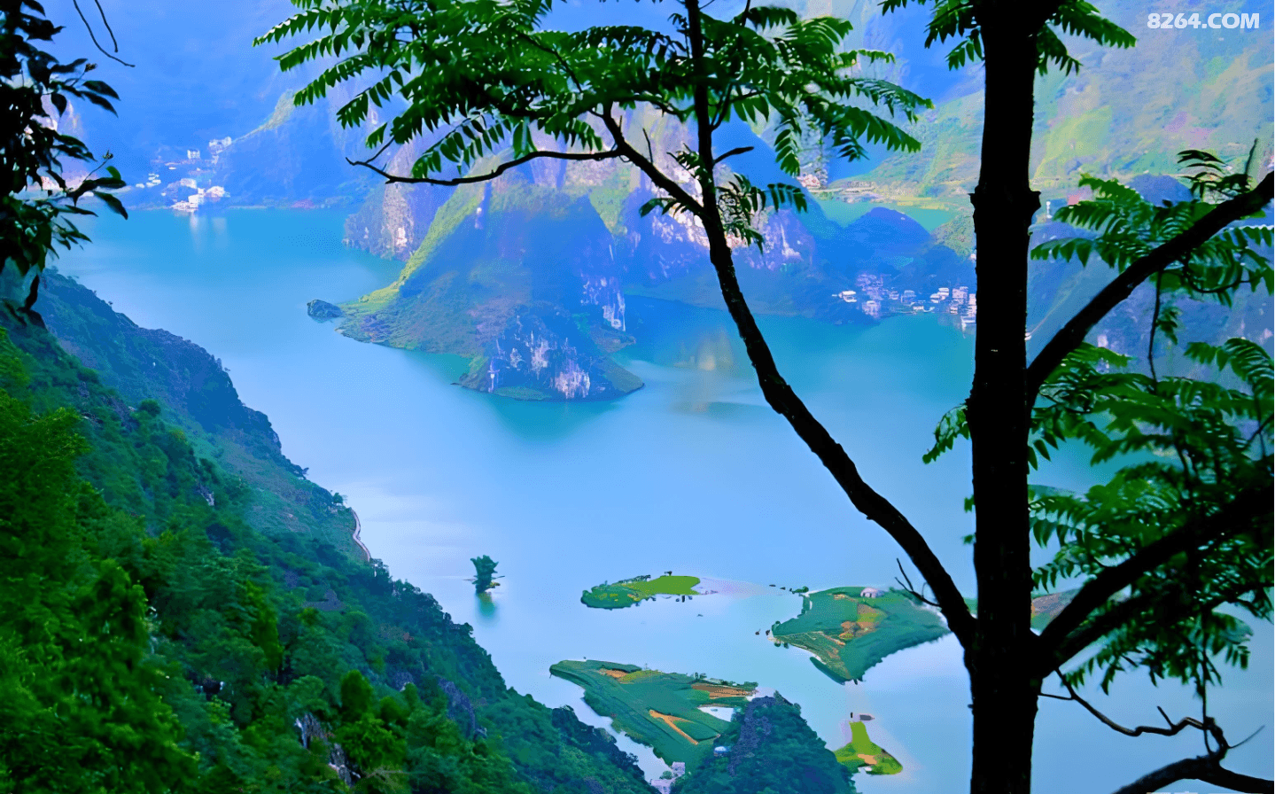 6cda304454900ceeec8c46396f6c83b.png
