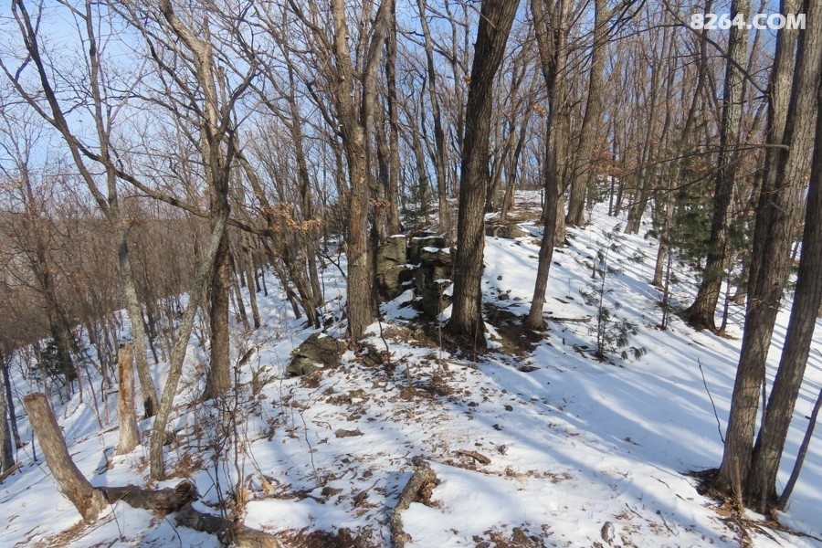 IMG_9248.jpg