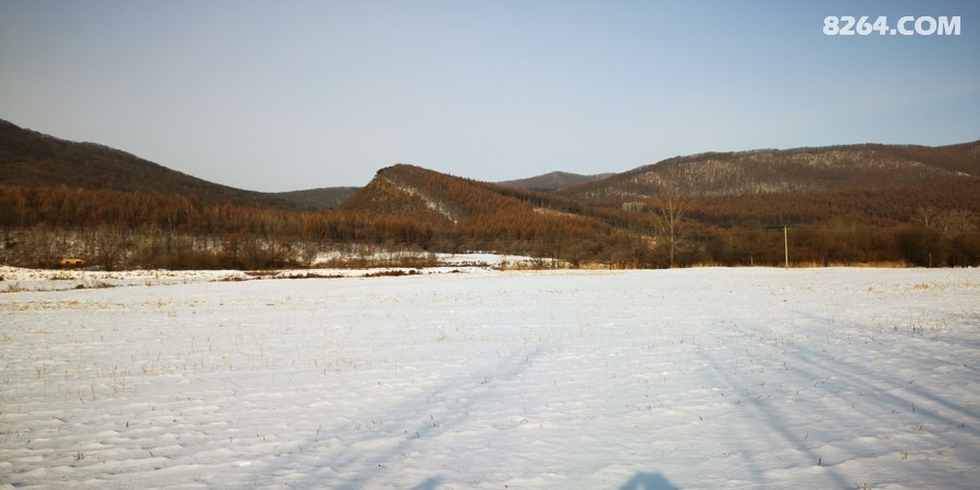 IMG_20260124_083251.jpg