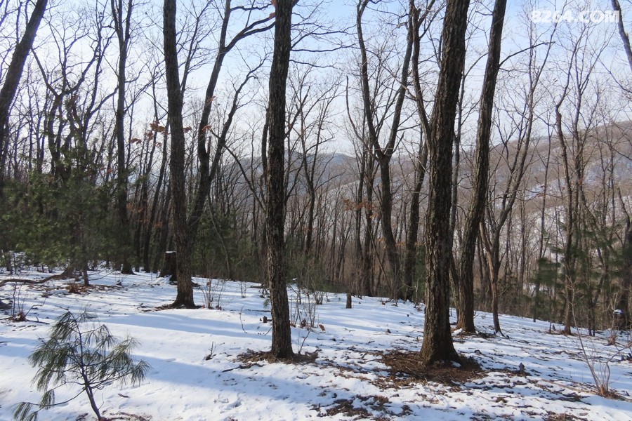 IMG_9244.jpg