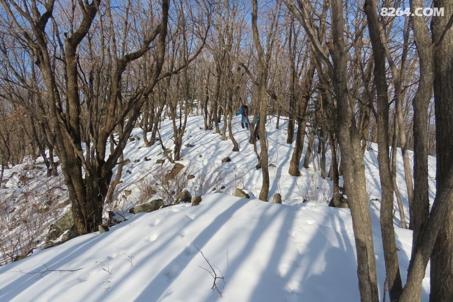 IMG_9474.jpg