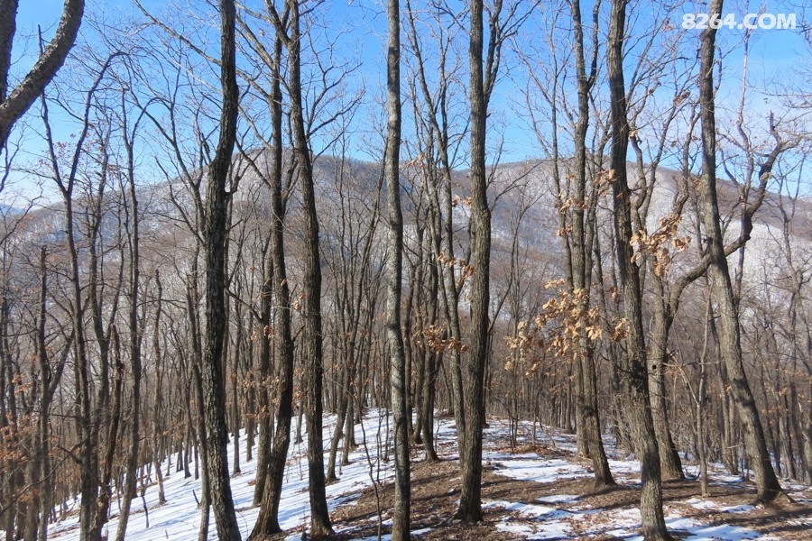 IMG_9494.jpg