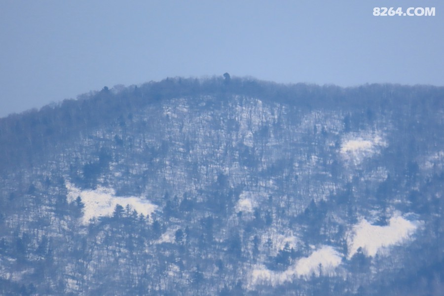 IMG_9500.jpg