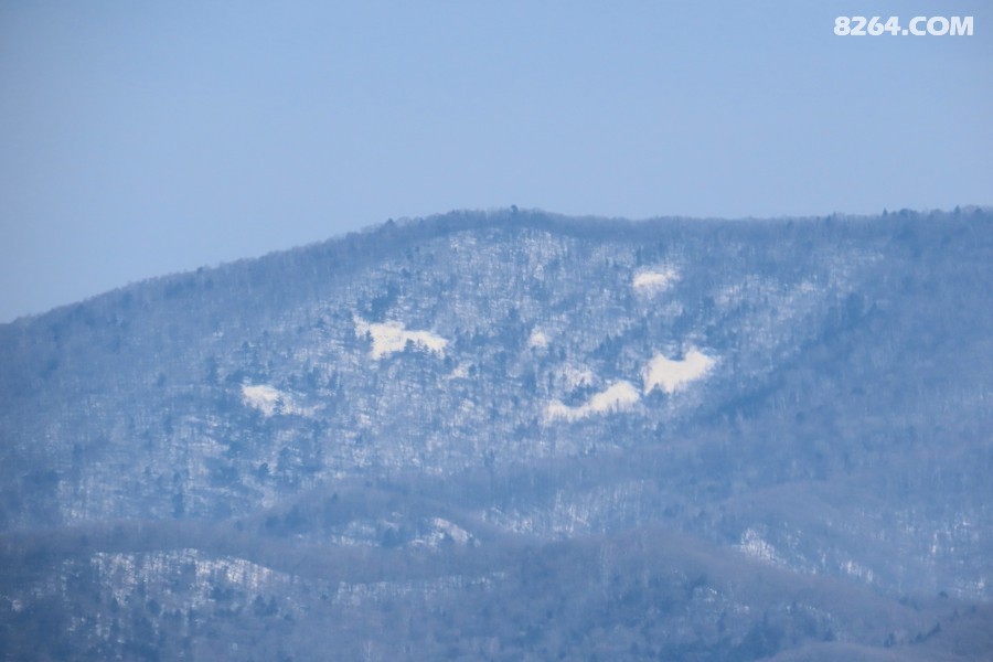 IMG_9508.jpg