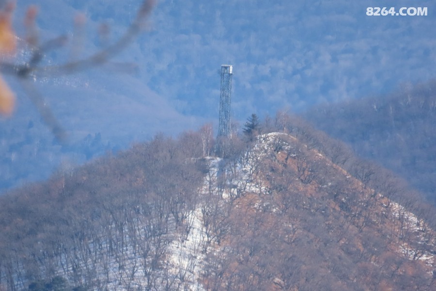 IMG_9504.jpg