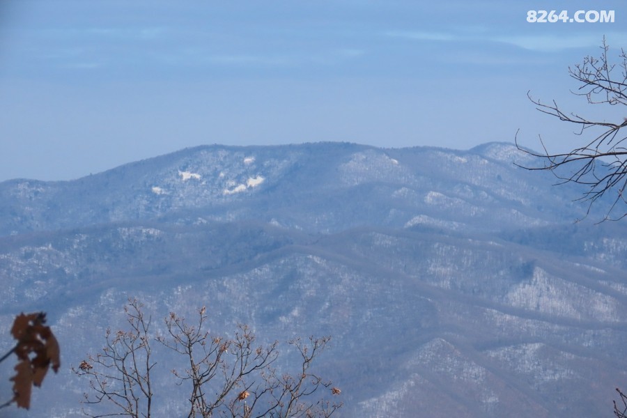 IMG_9507.jpg