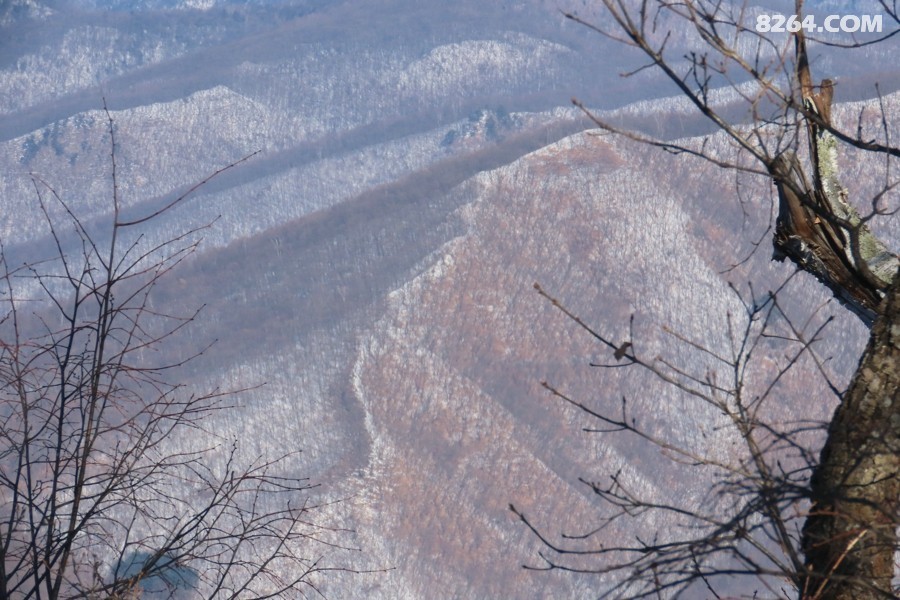 IMG_9556.jpg